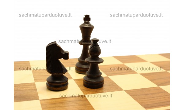 Turnyriniai šachmatai (Nr. 5)