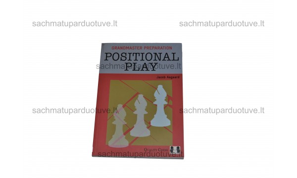 Grandmaster Preparation. Positional Play