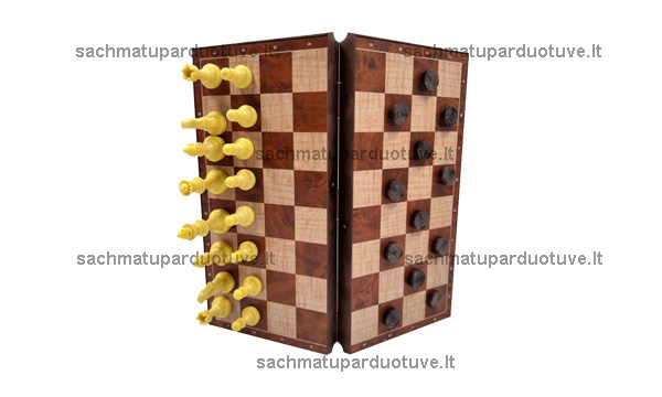Magnetiniai šachmatai ir šaškės (Cayro)