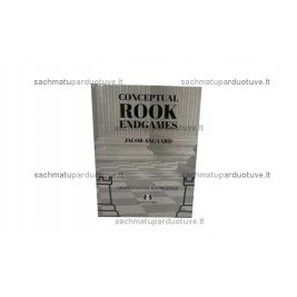 Conceptual Rook Endgames