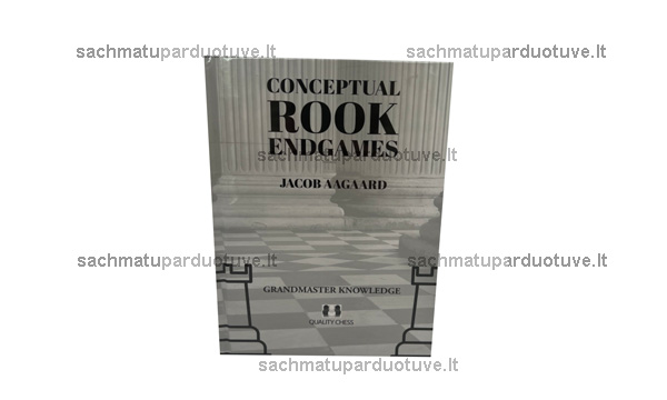 Conceptual Rook Endgames