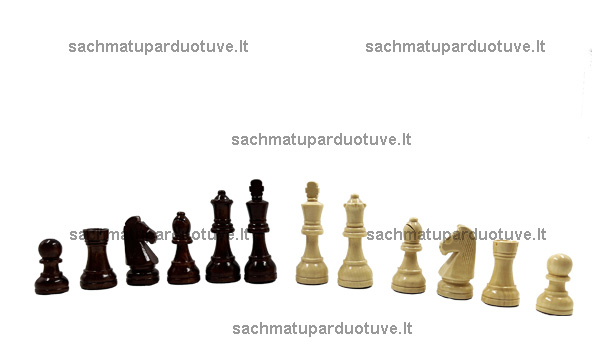 Šachmatų figūros Nr. 6